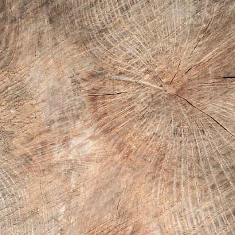 Hero image for ARG Outdoor Services