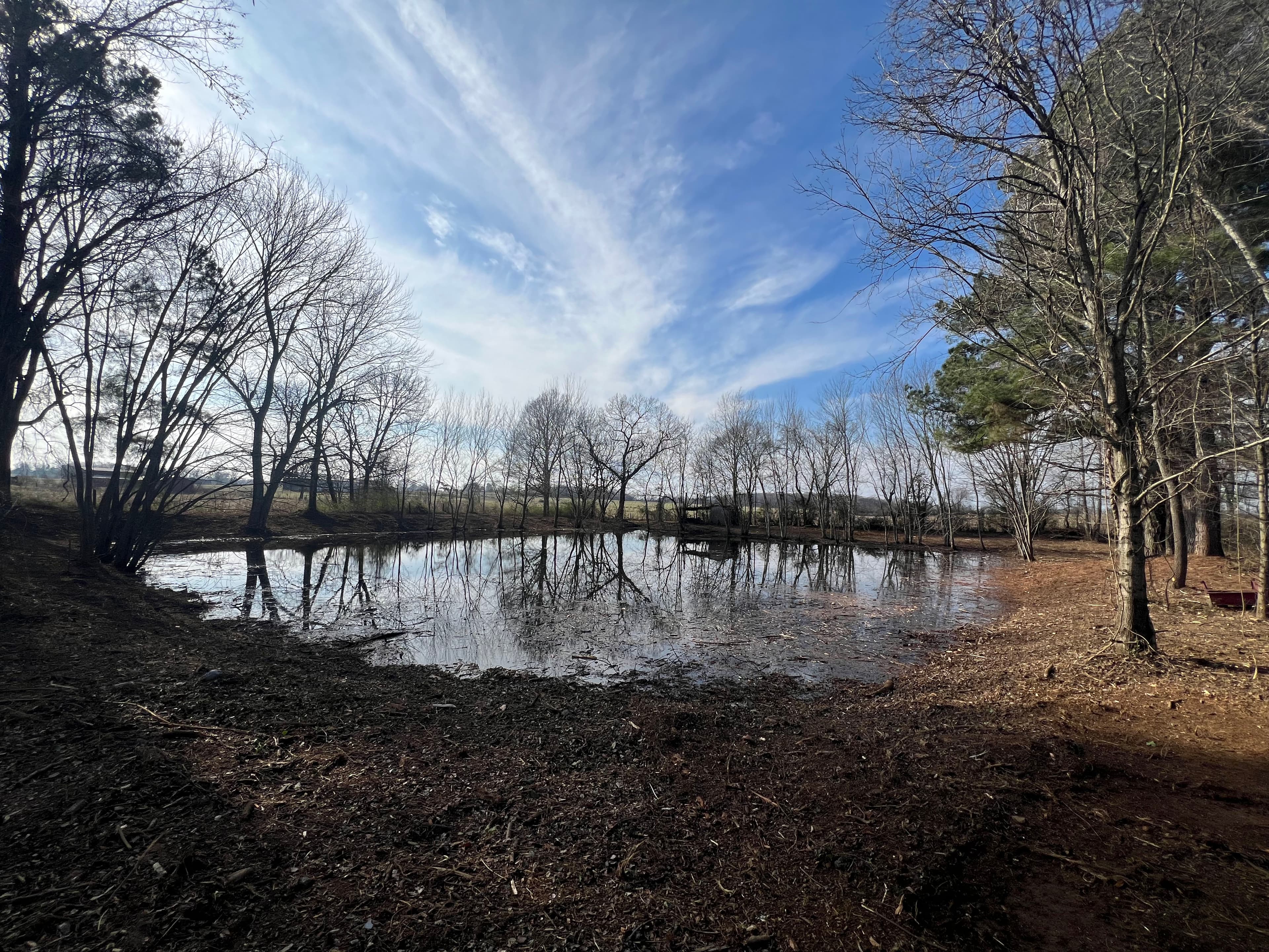 Project Tranquil Pond Bank Clearing and Maintenance image