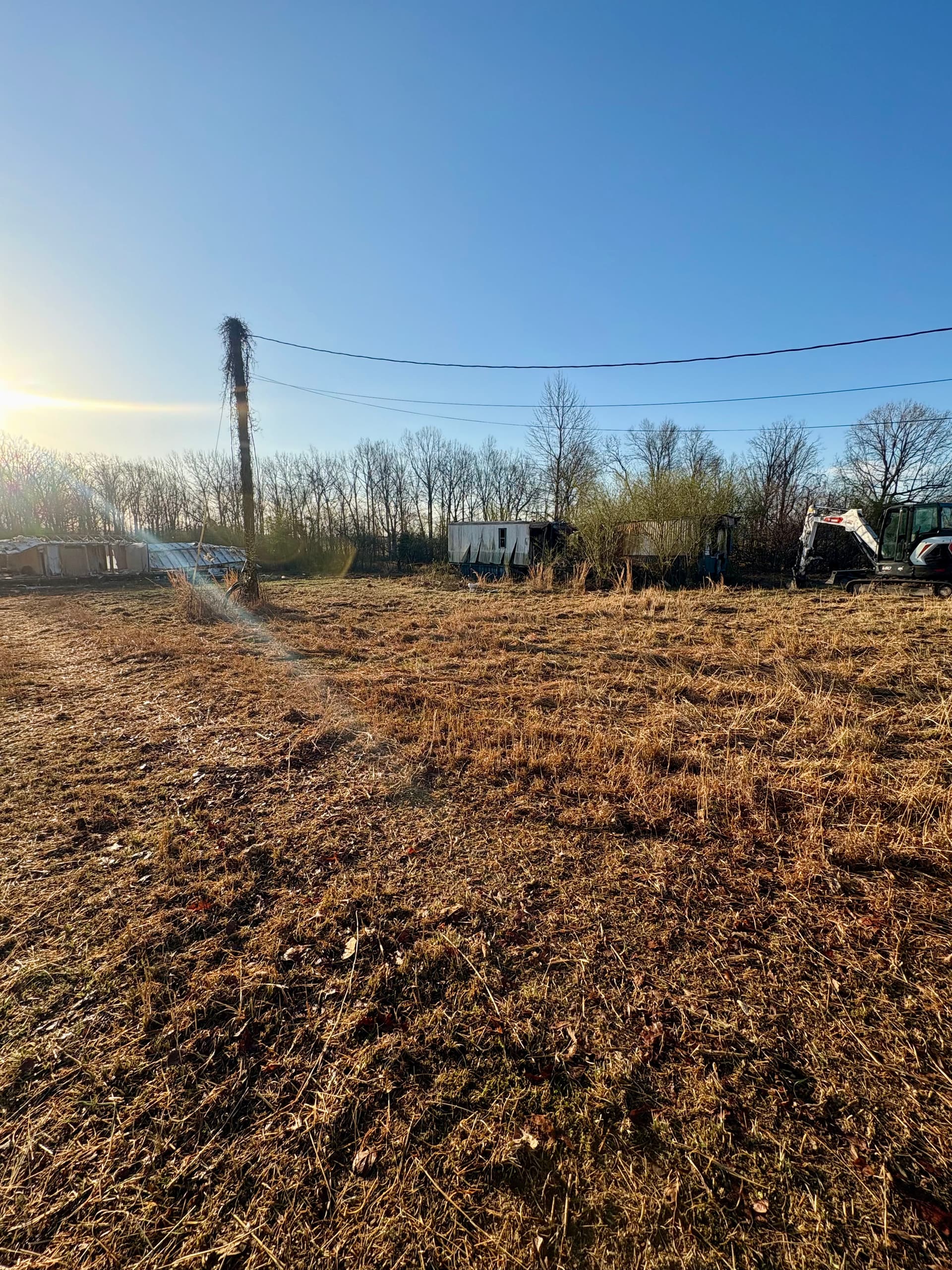 Land Clearing Experts at Play image