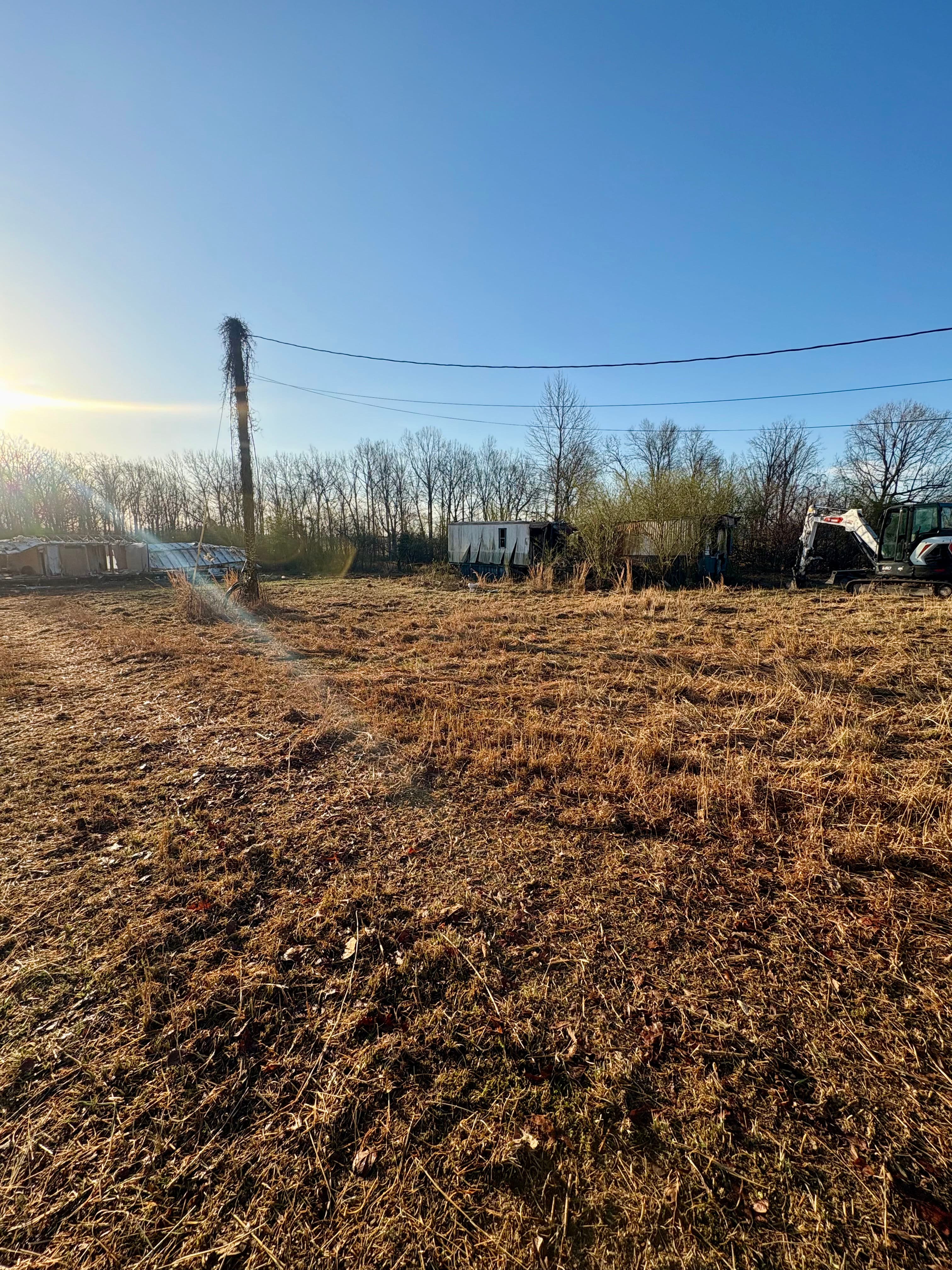 Project Land Clearing Experts at Play image