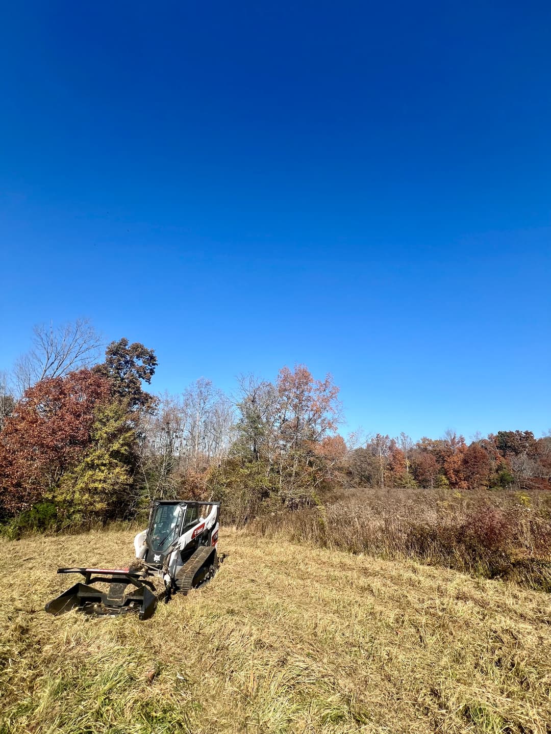 Bobcat clearing brush in a field under a clear blue sky with autumn foliage.