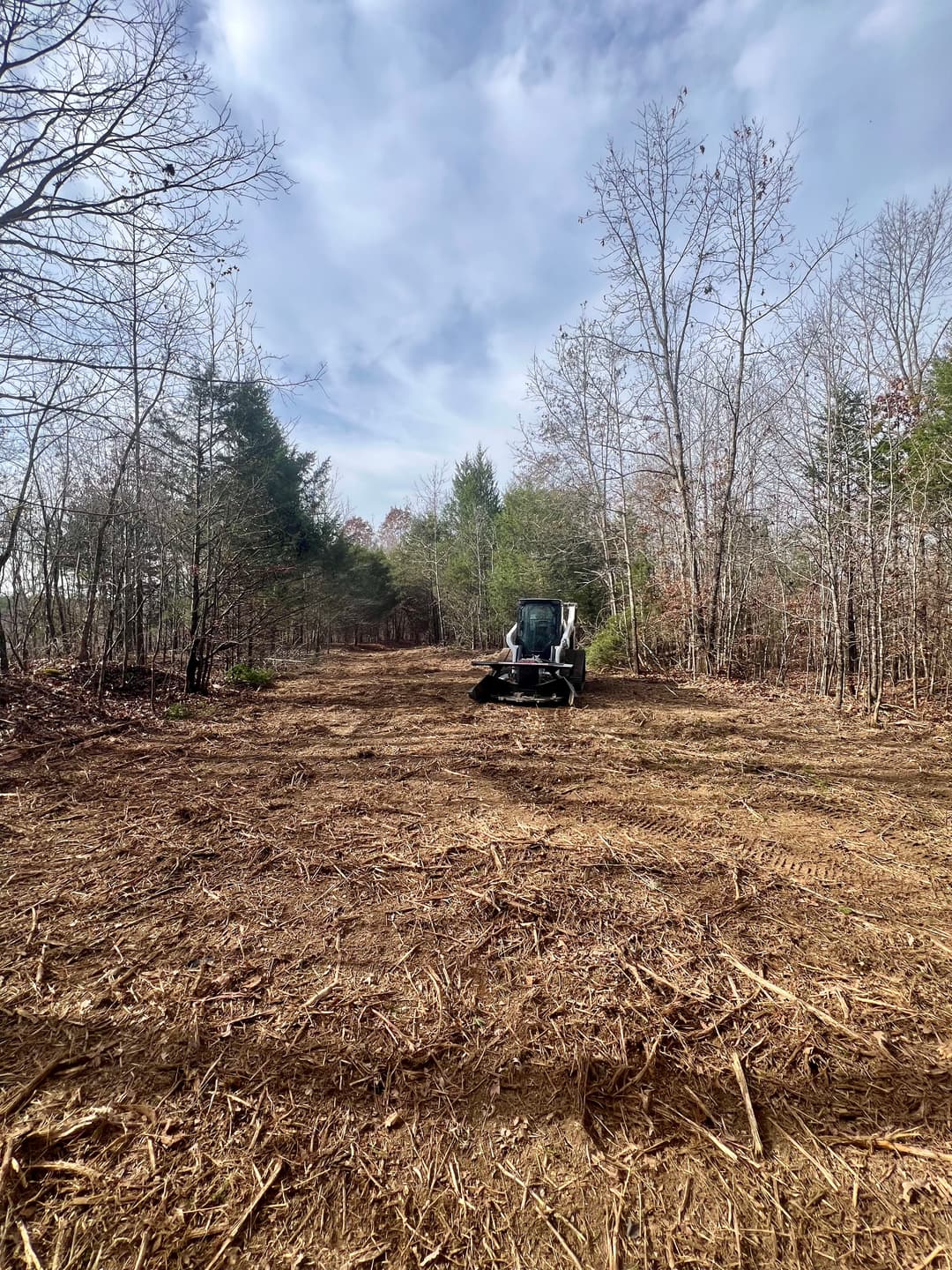 Cleared forest area with a machine for land preparation and maintenance, surrounded by trees.