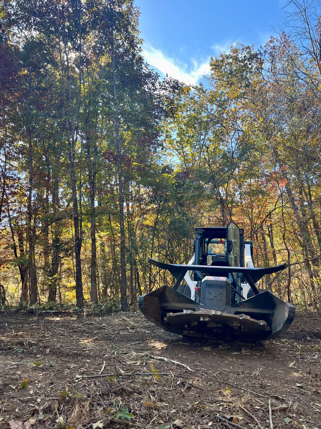 Bobcat on forest land with autumn foliage, ready for land clearing and outdoor projects.
