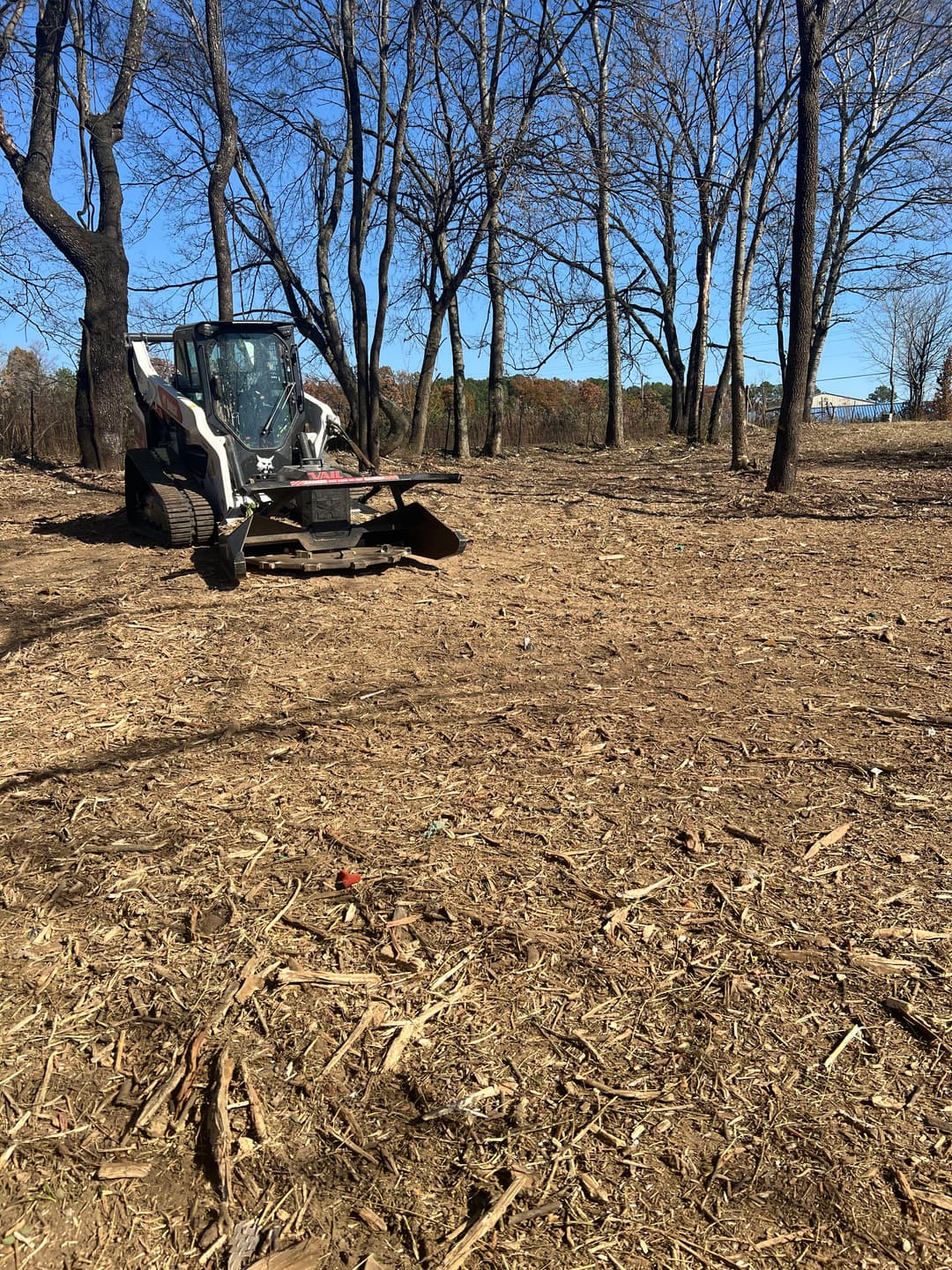 Skid steer loader clearing land in a wooded area with bare trees and blue sky.