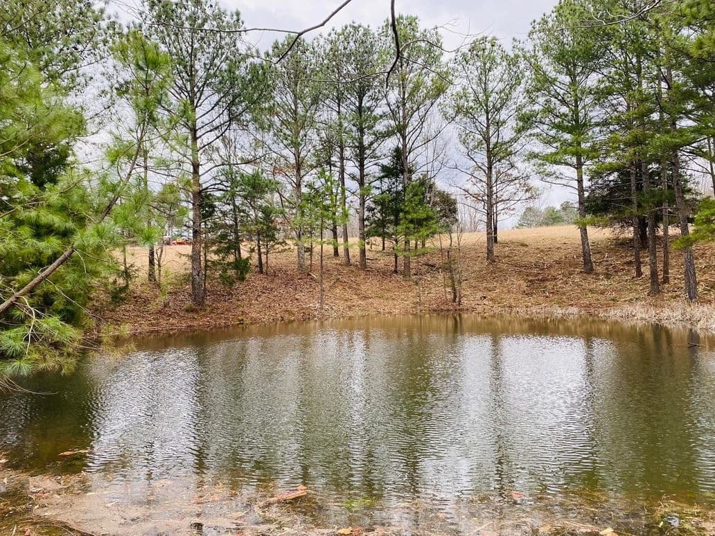Serene pond surrounded by lush pine trees and rolling hills in rural landscape.