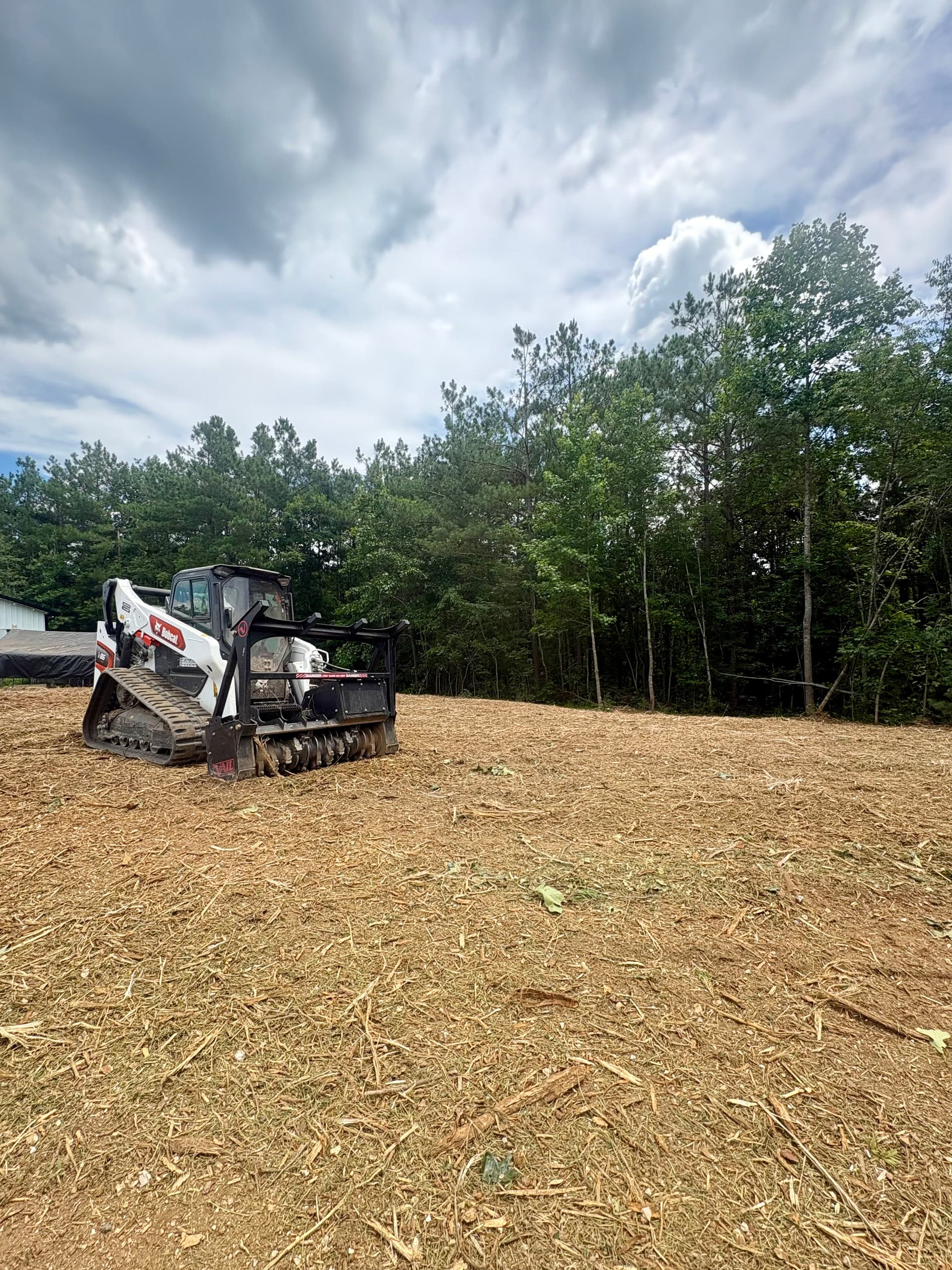 Forestry Mulching That Opens Up Overgrown Land in Middle TN image