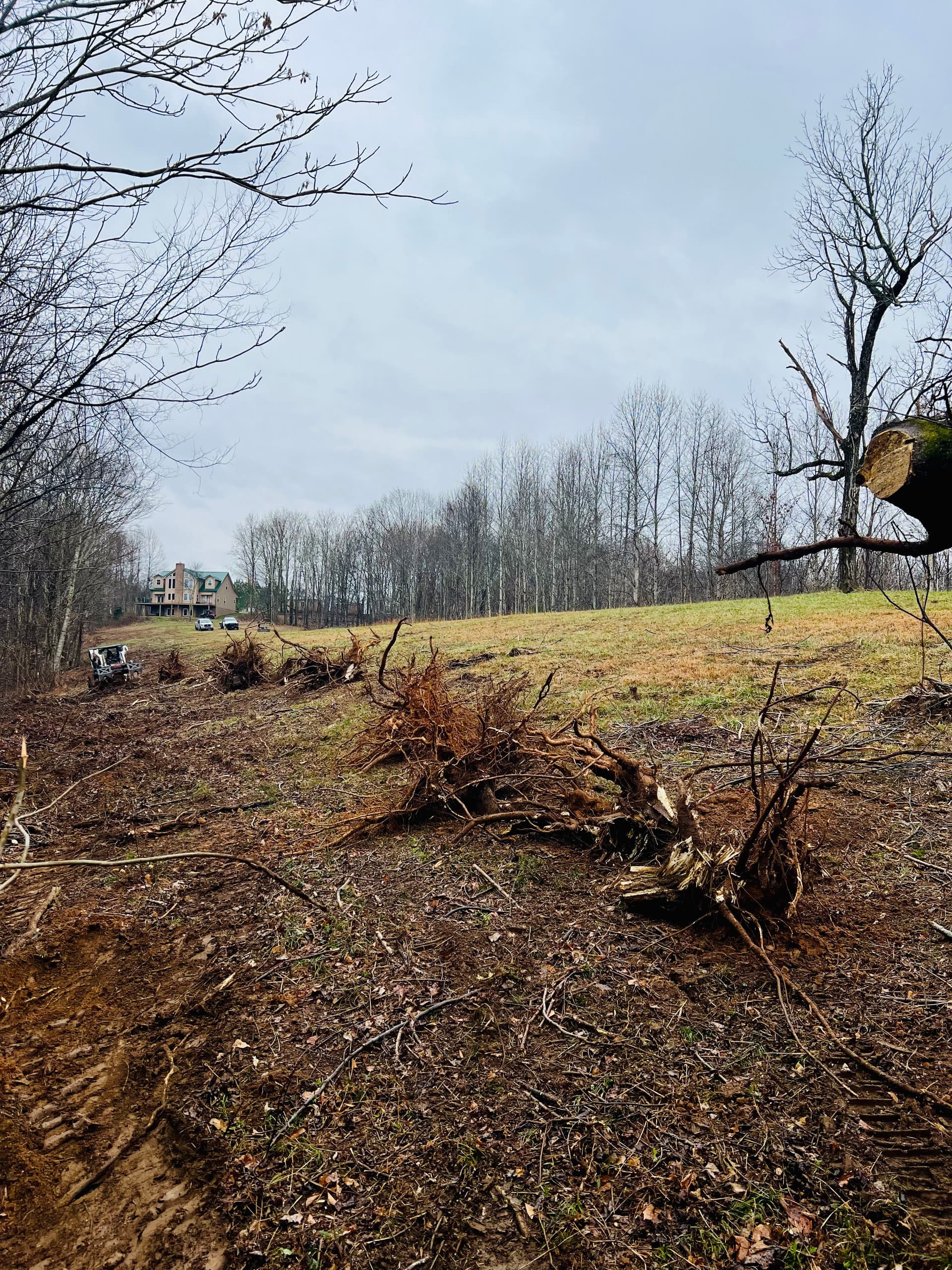 Clear Your Land for New Possibilities