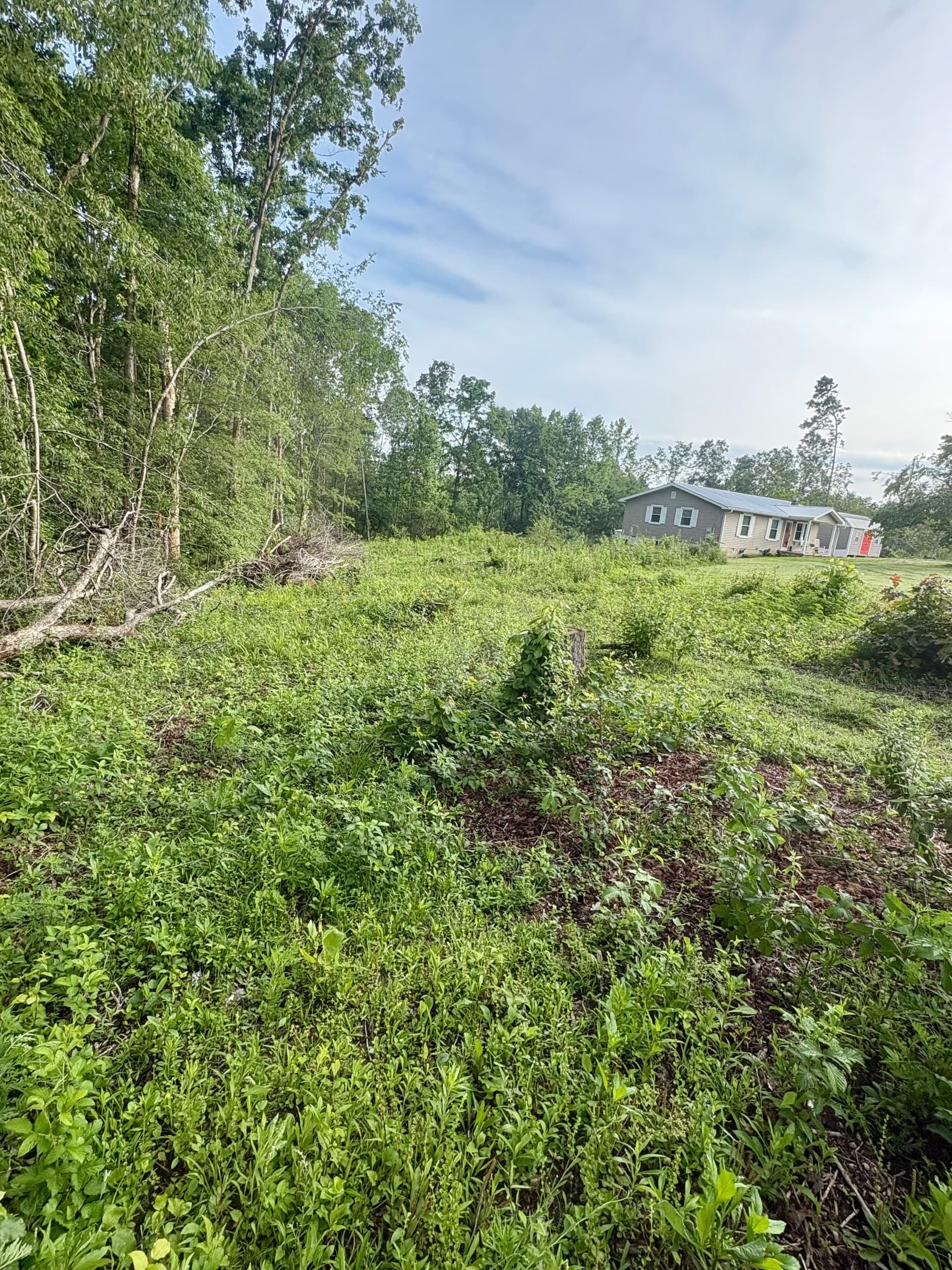 Post-Logging Cleanup and Stump Removal Done Right image