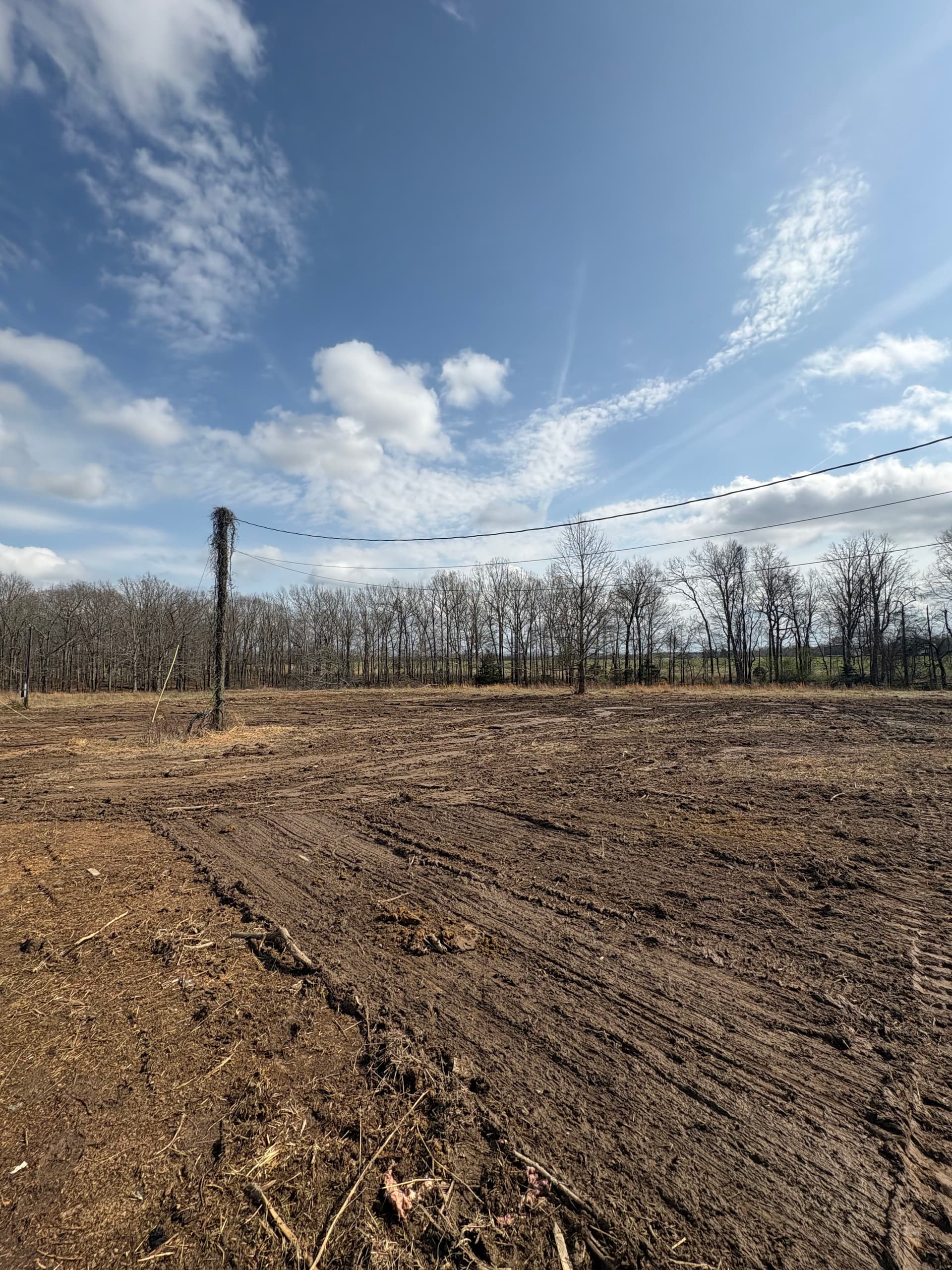 Gallery photos for Unlocking Potential through Land Clearing: Image #1