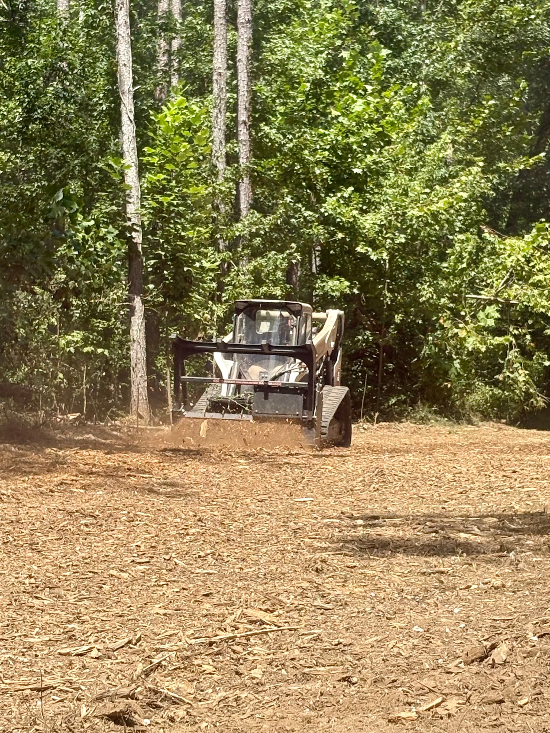 Right-of-Way Clearing Done the Hard Way image