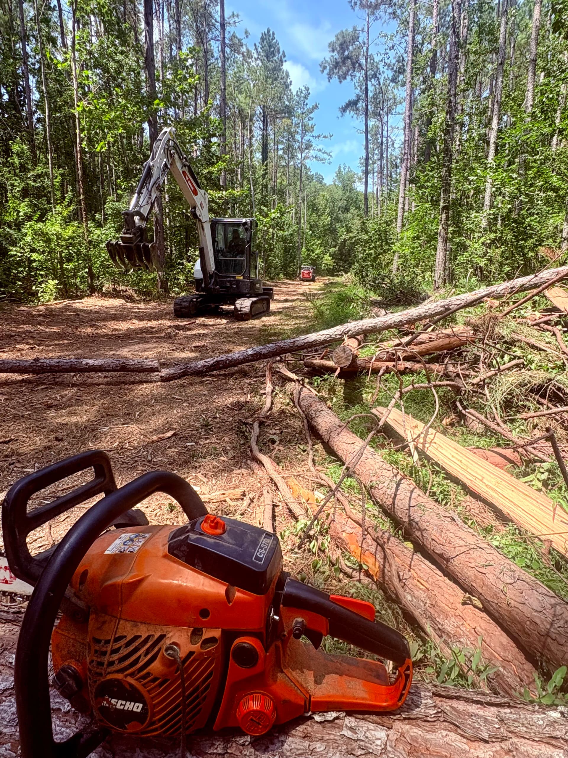What Real Forestry Work Actually Looks Like image