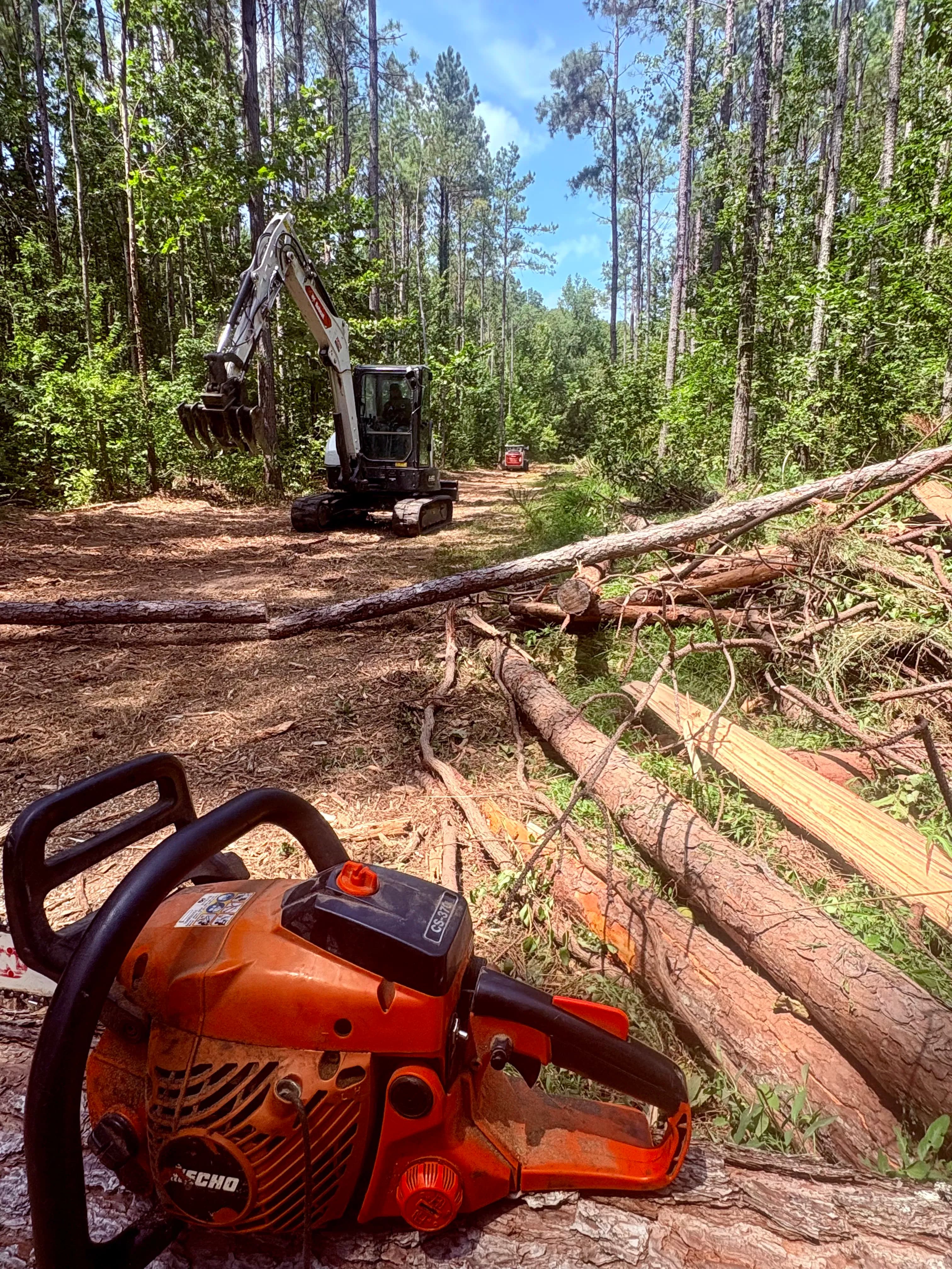 Project What Real Forestry Work Actually Looks Like image