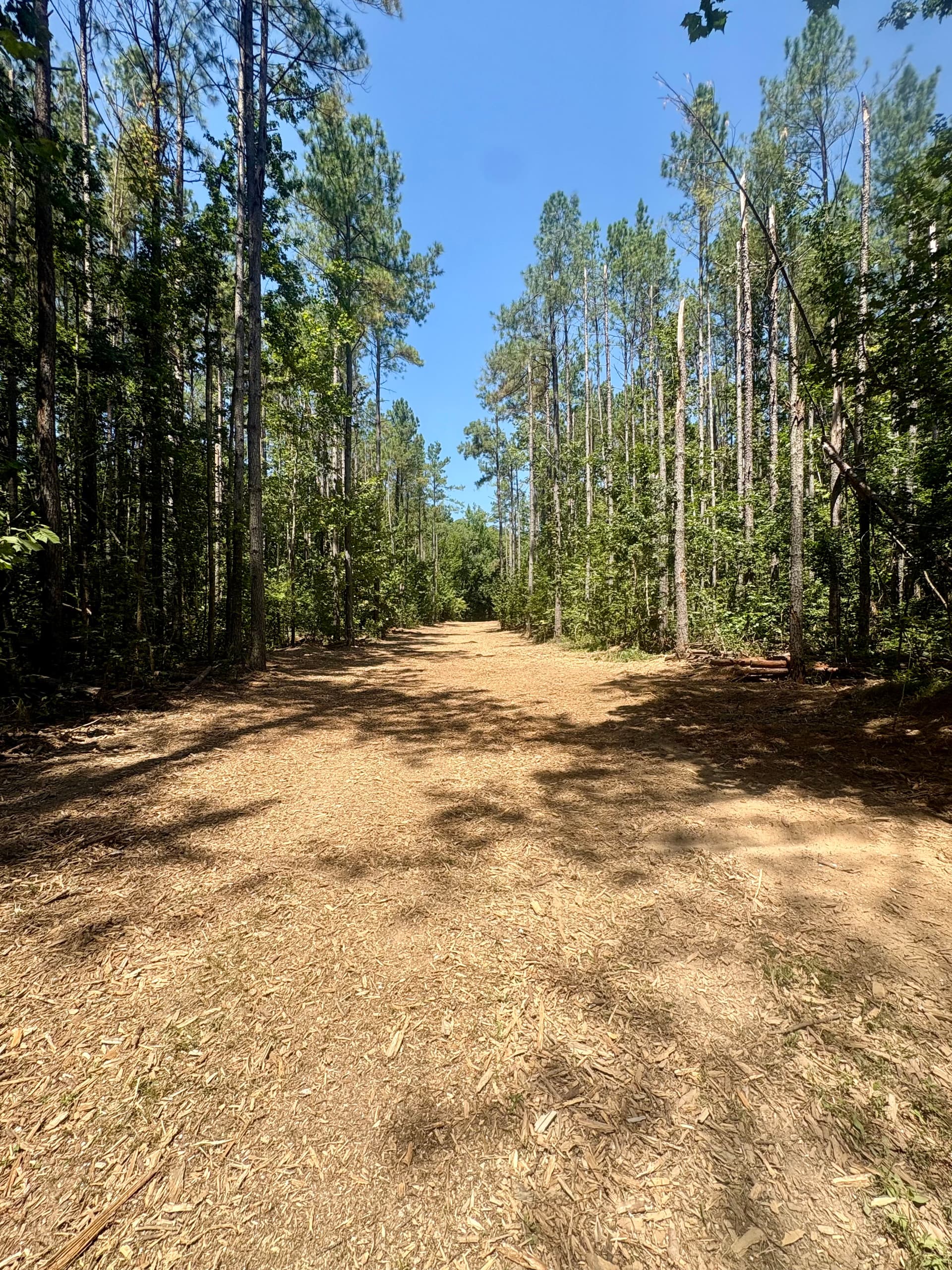 Gallery photos for Right-of-Way Clearing Done the Hard Way: Image #1