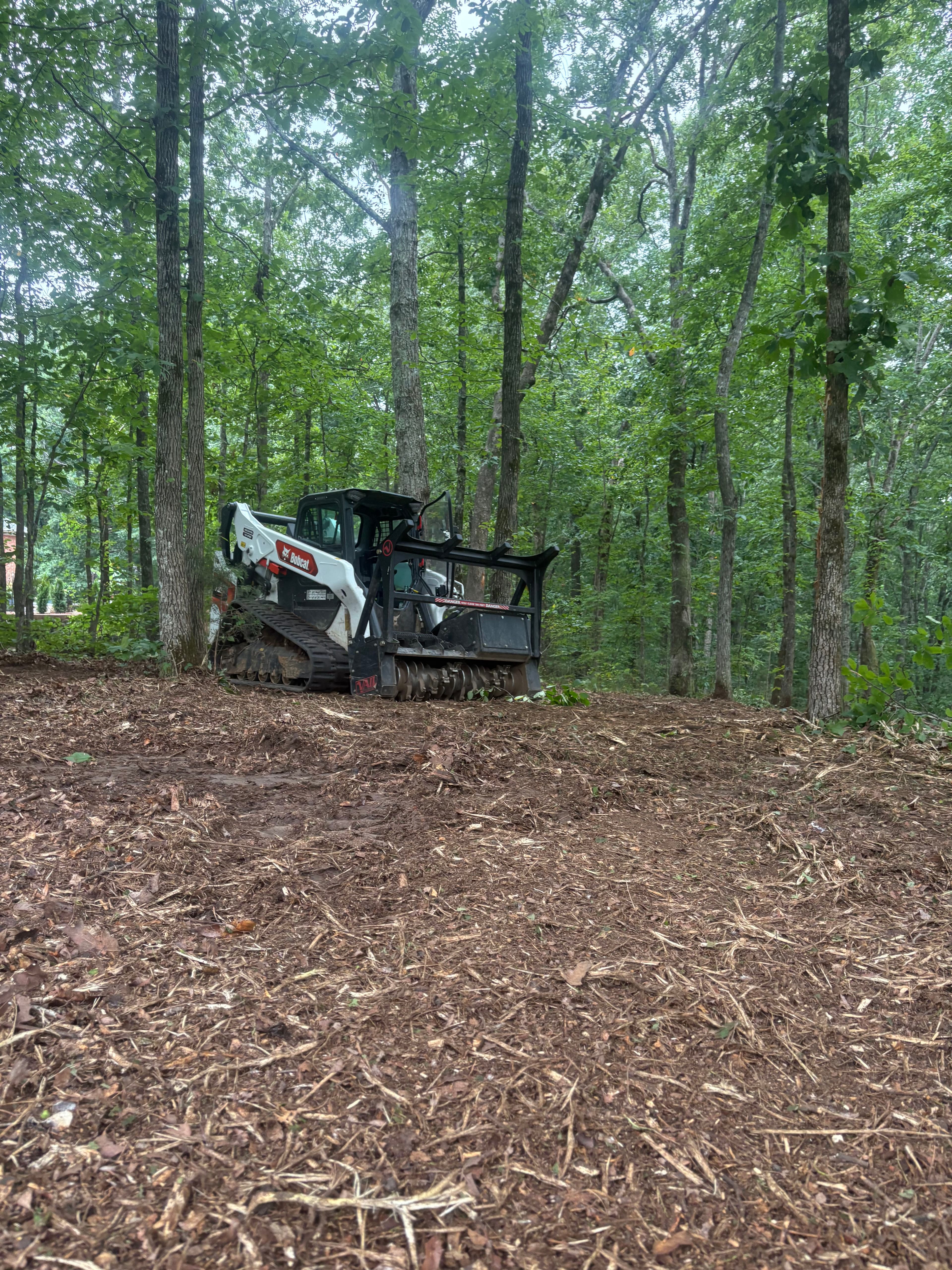 Project Forestry Mulching That Opens Up Your Land Fast image