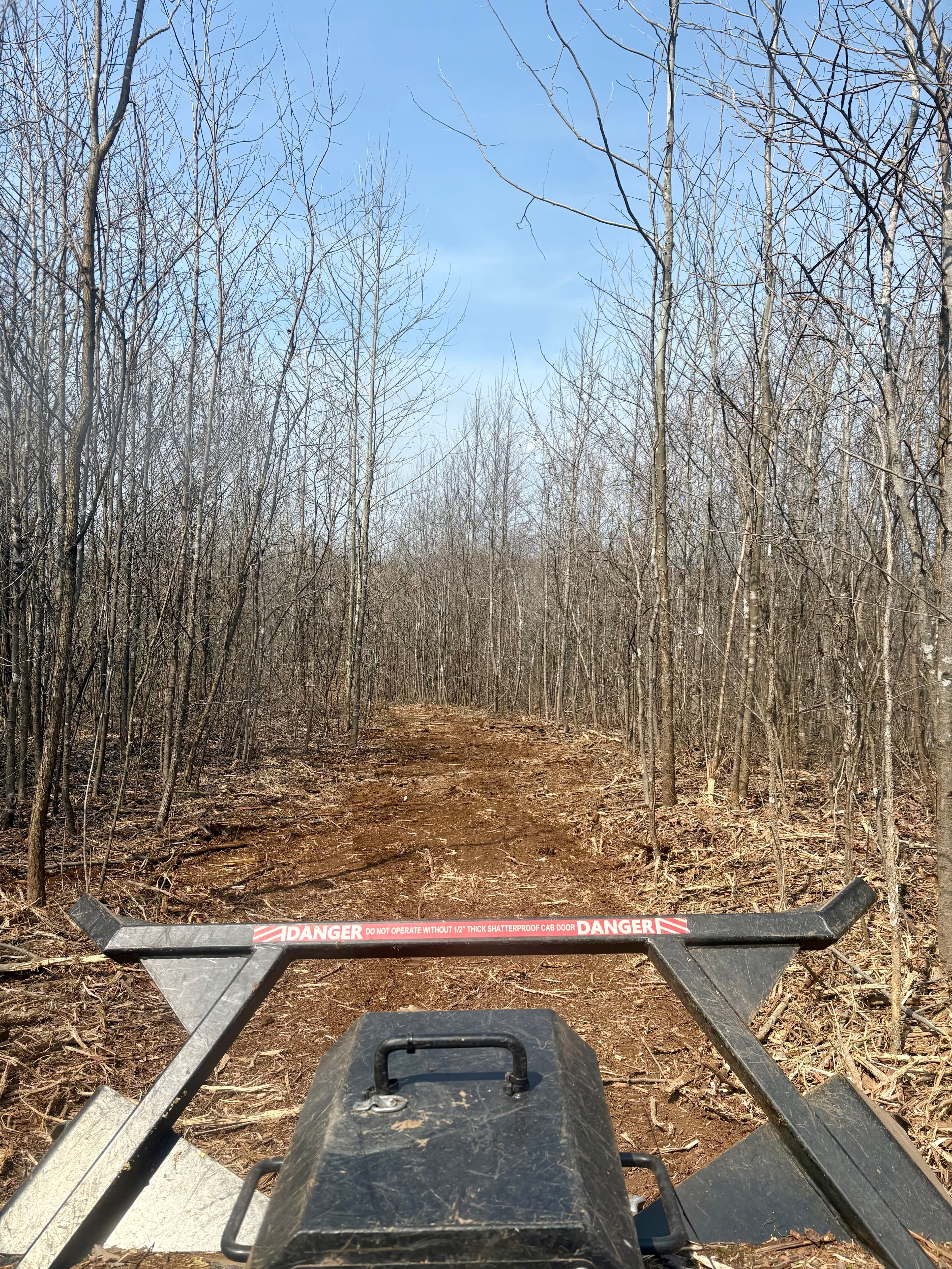 Project Trail Creation with Expert Land Clearing Services image