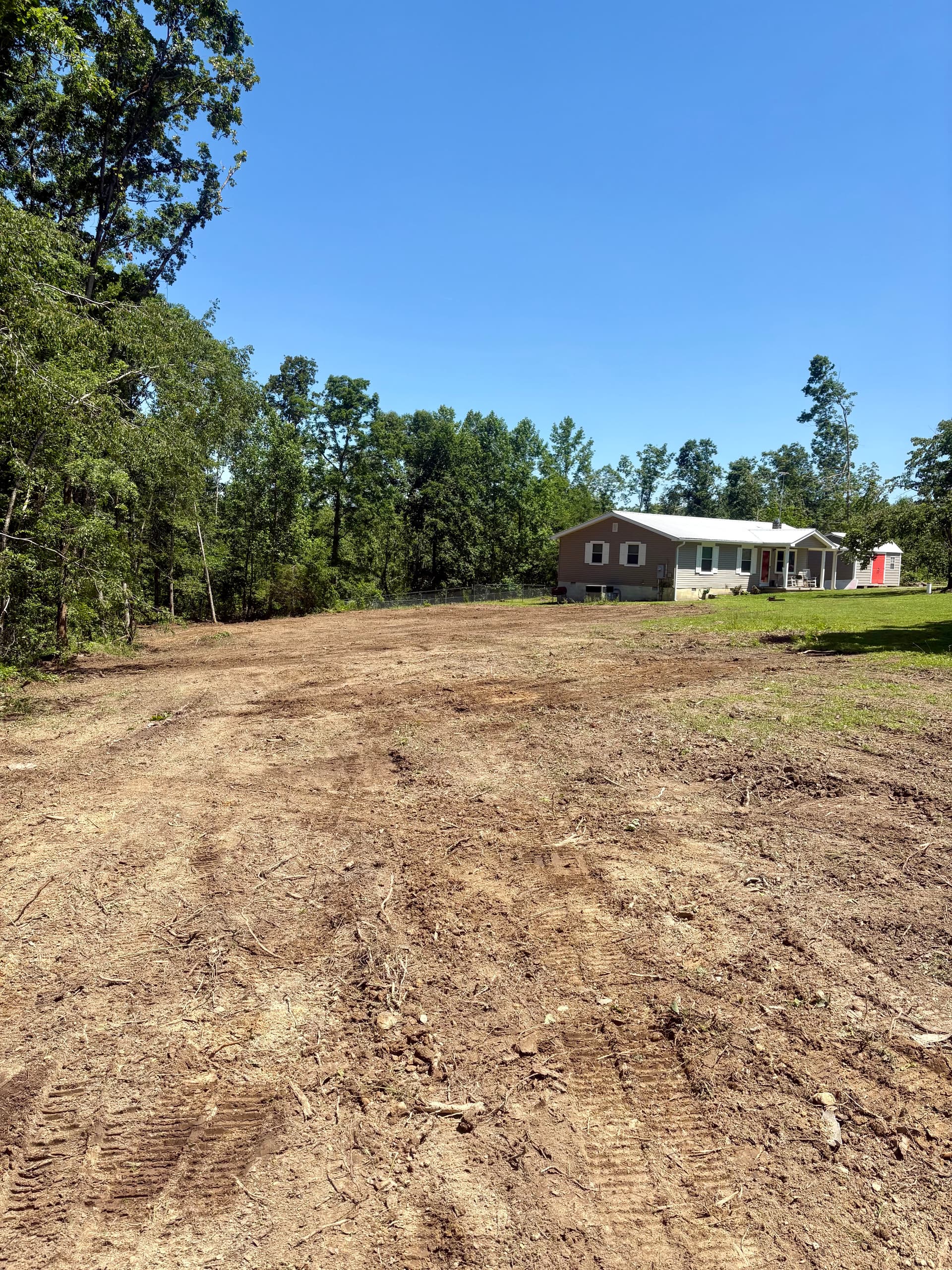Gallery photos for Post-Logging Cleanup and Stump Removal Done Right: Image #1
