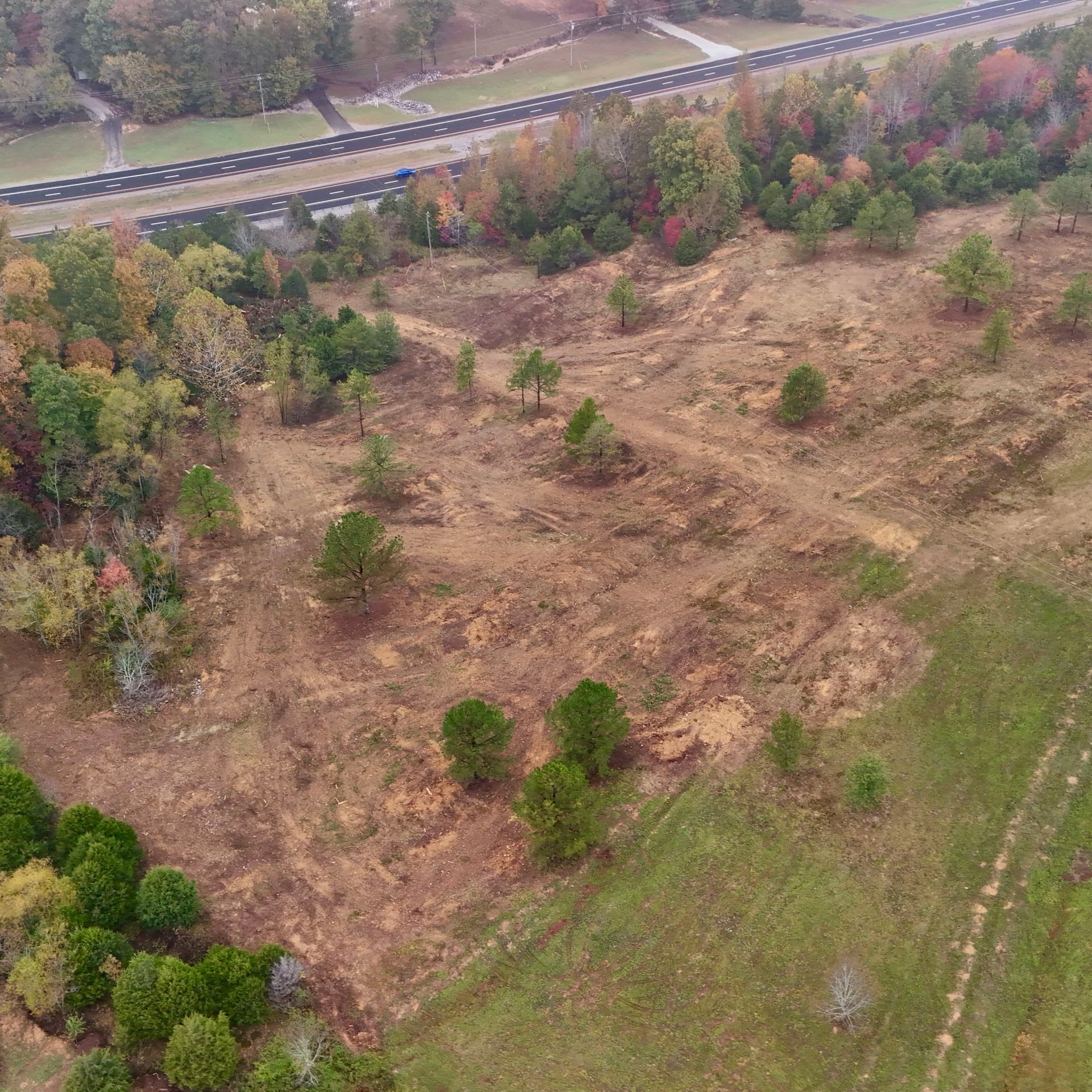 Land Clearing and Forestry Mulching Expertise in Action image