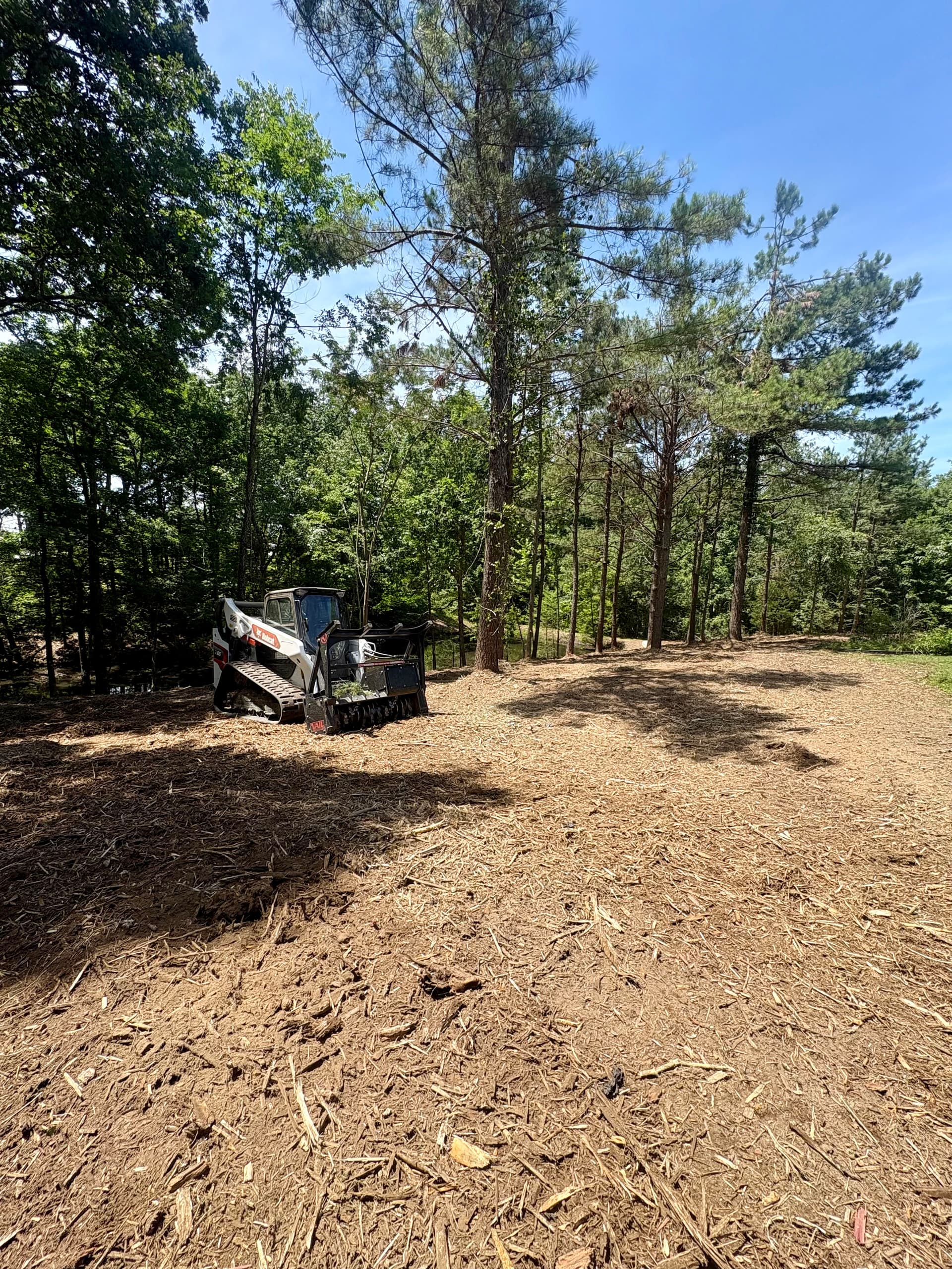 Forestry Mulching Around a Pond That Needed Serious Cleanup image