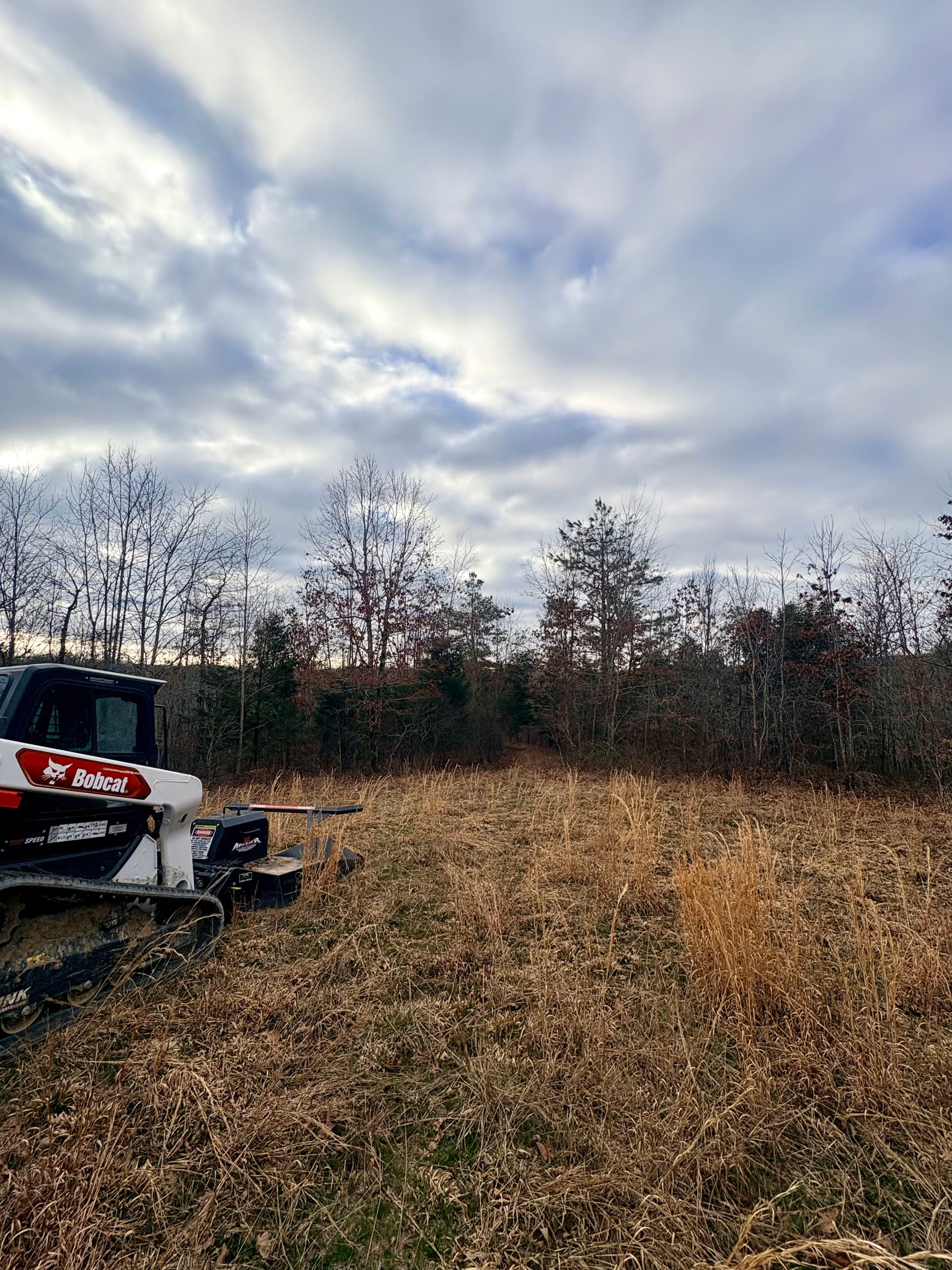 Efficient Land Management with Forestry Mulching image