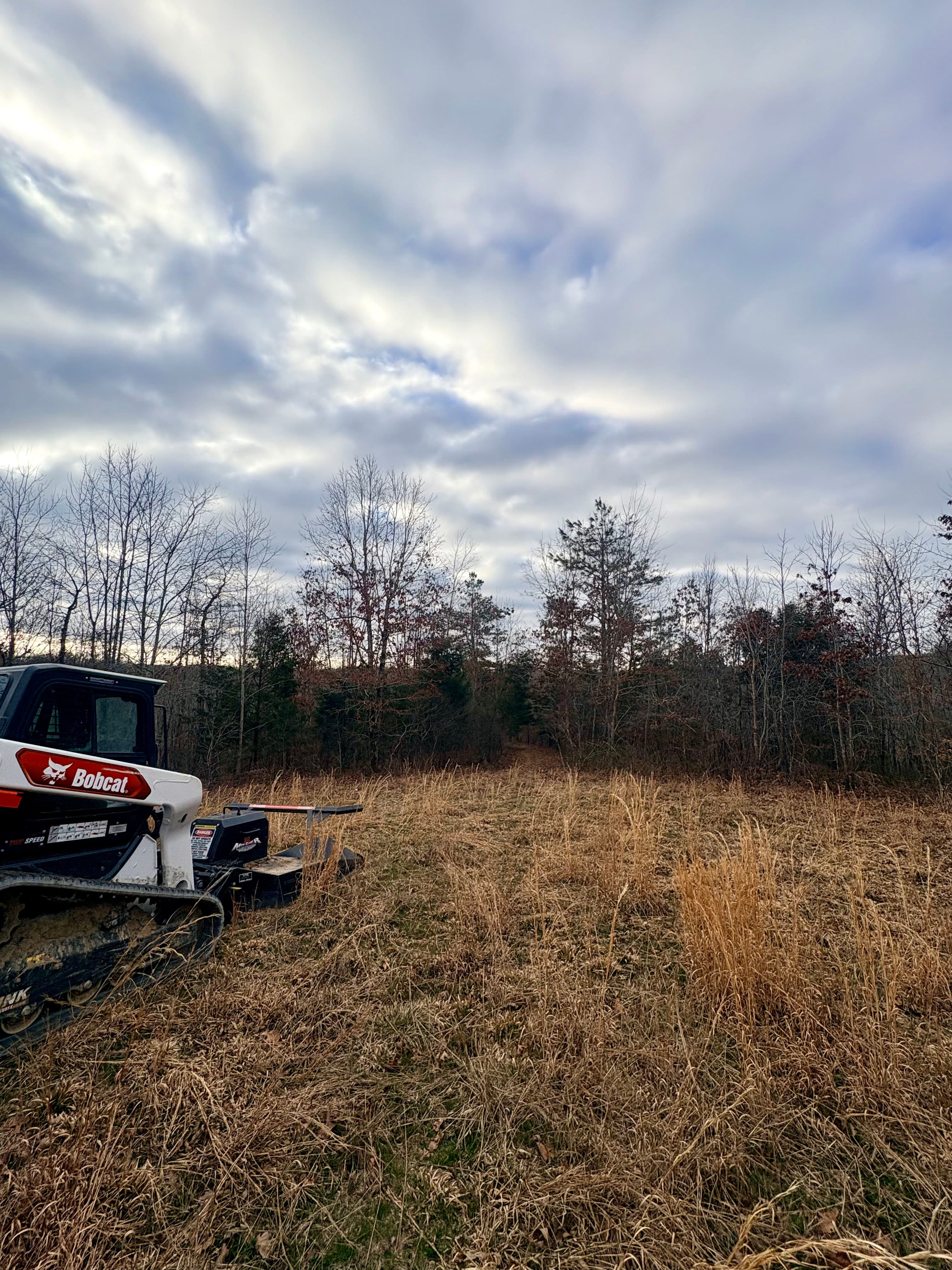 Project Efficient Land Management with Forestry Mulching image