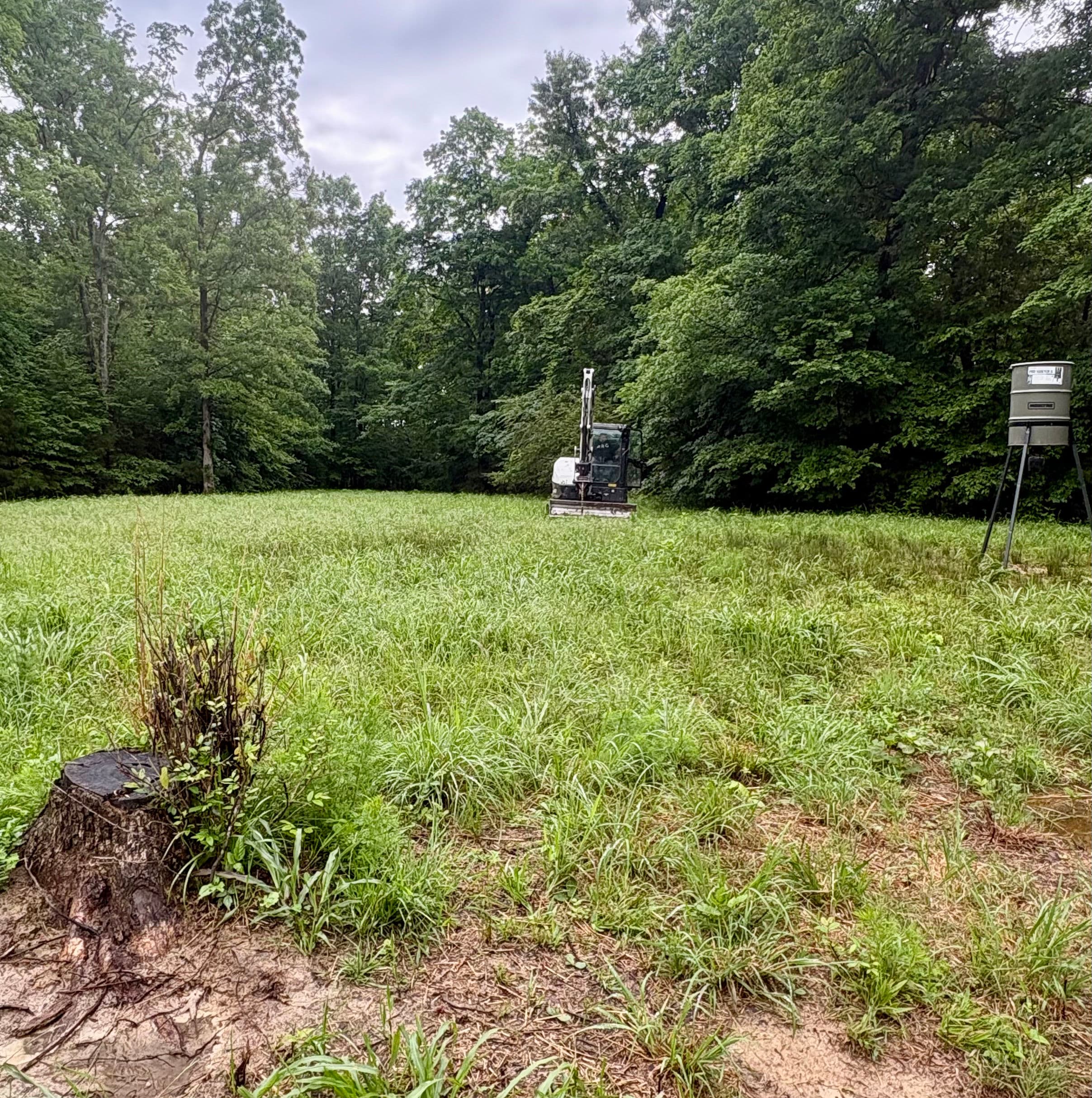 Project Food Plot Land Clearing Done the Right Way image