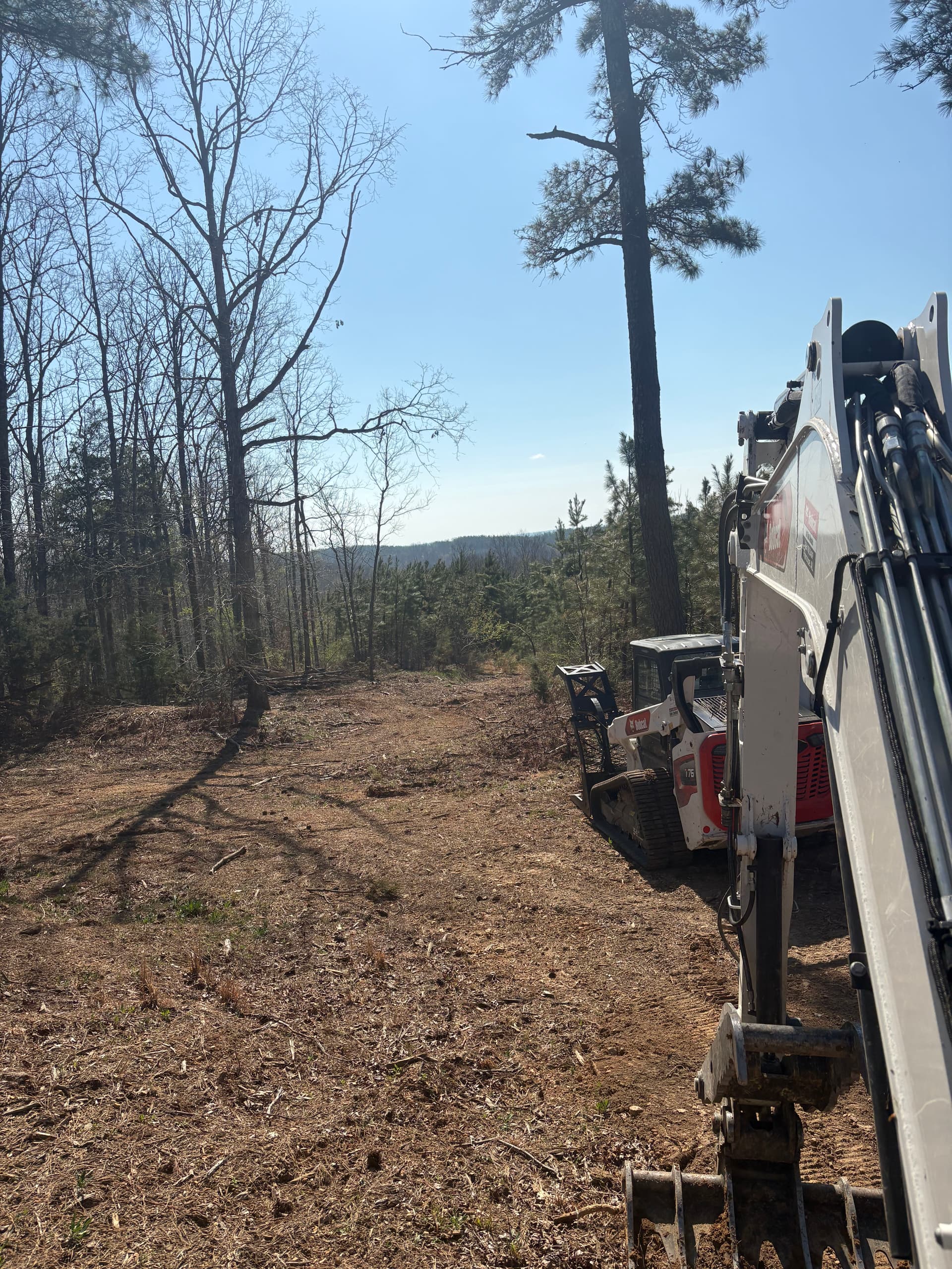 Gallery photos for Transforming Outdoor Spaces with Precision and Passion: Image #1