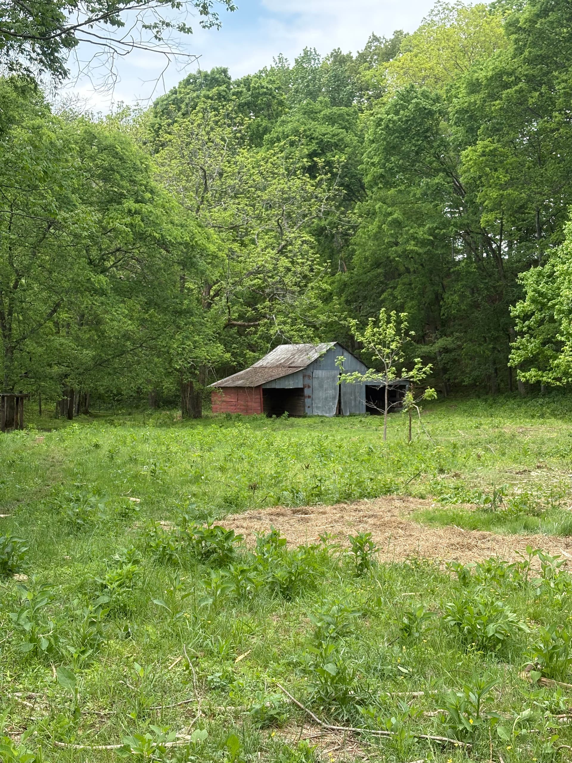 Gallery photos for Farm Land Clearing for Pond Banks Fields and Fence Rows: Image #3