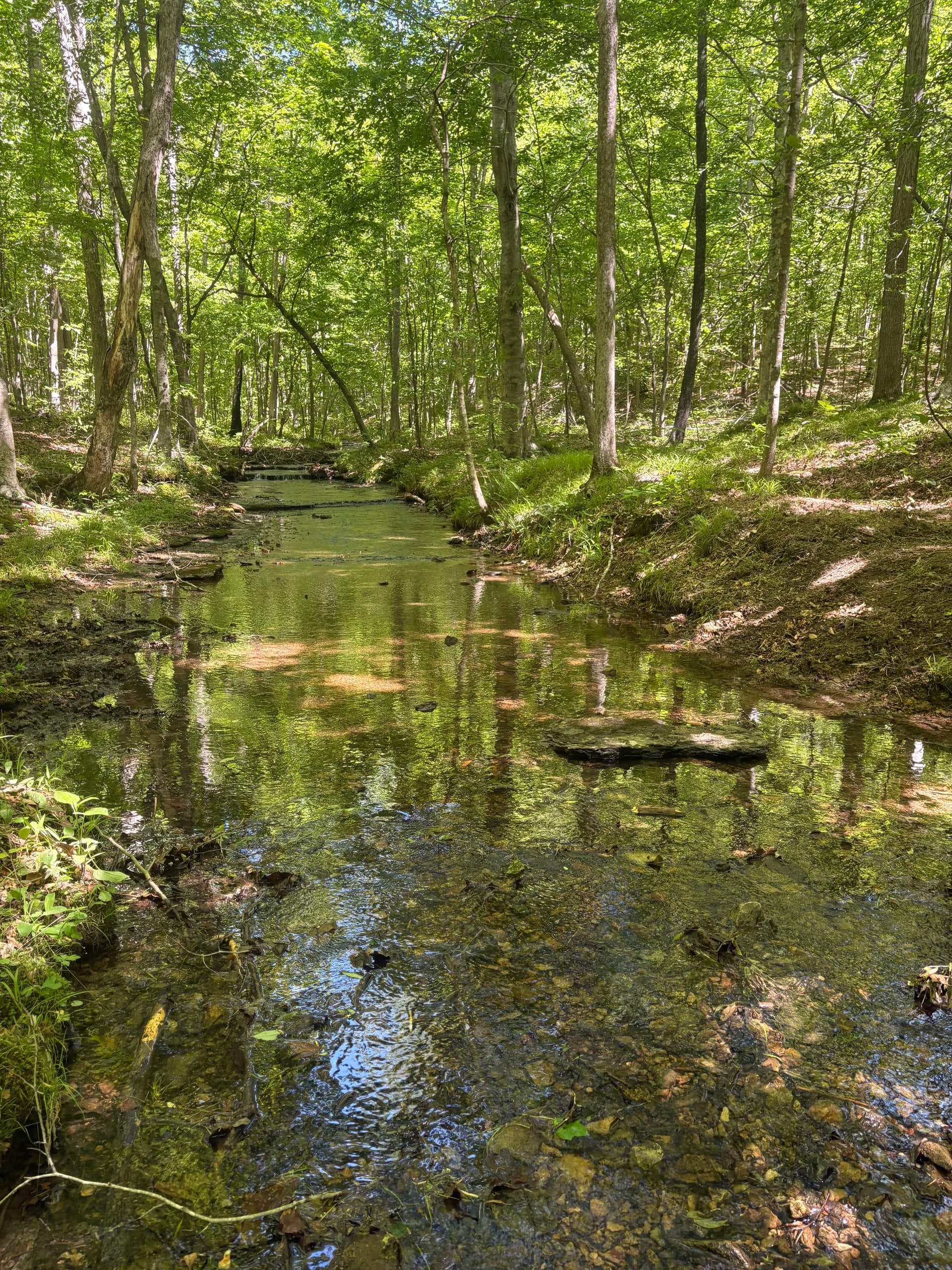 Gallery photos for When Nature Does the Heavy Lifting: Image #1