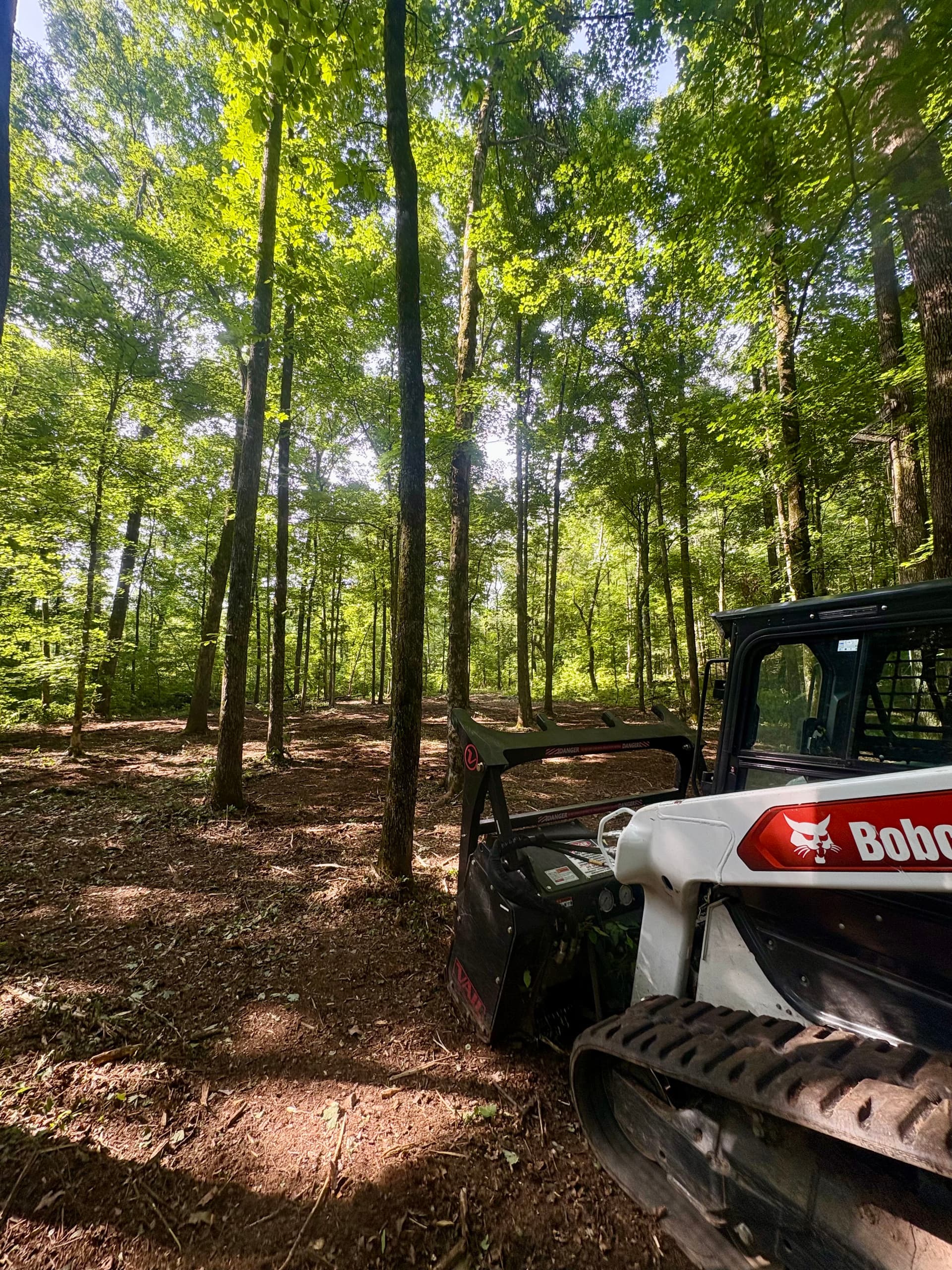 Hunting Property Trail Clearing and Field Edge Maintenance image