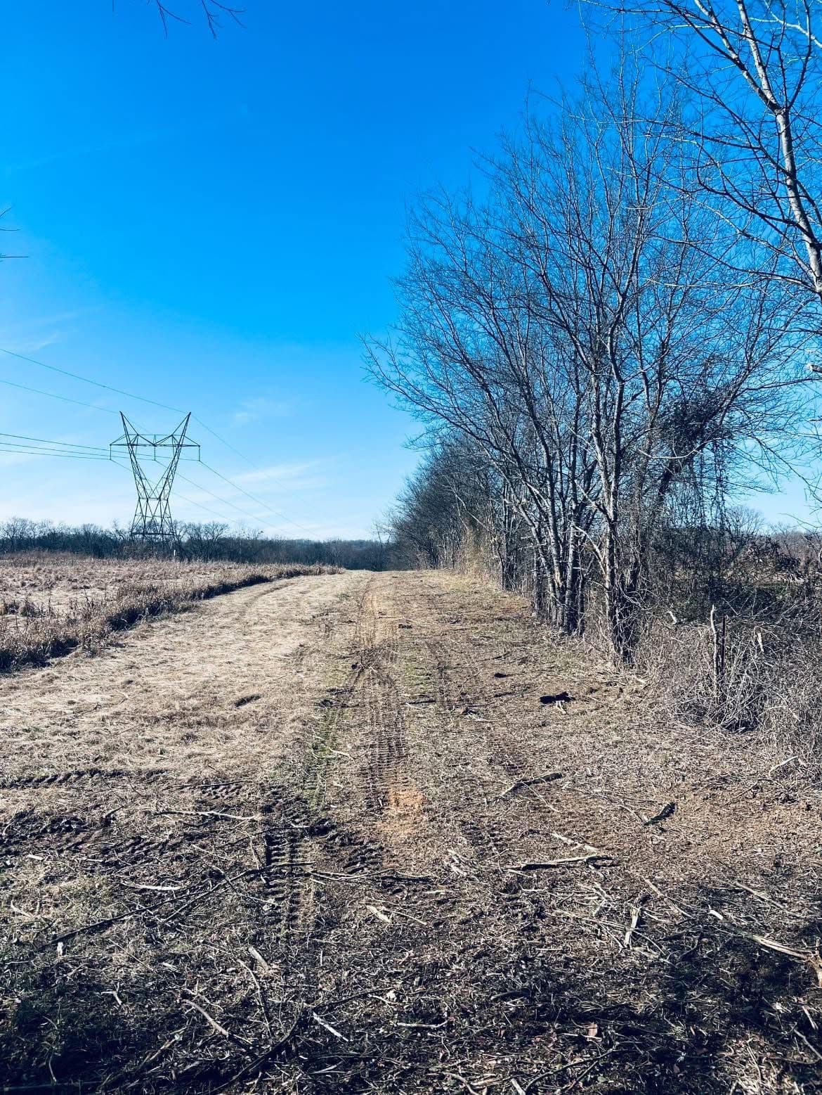 Spring Landscape Renewal by ARG Outdoor Services