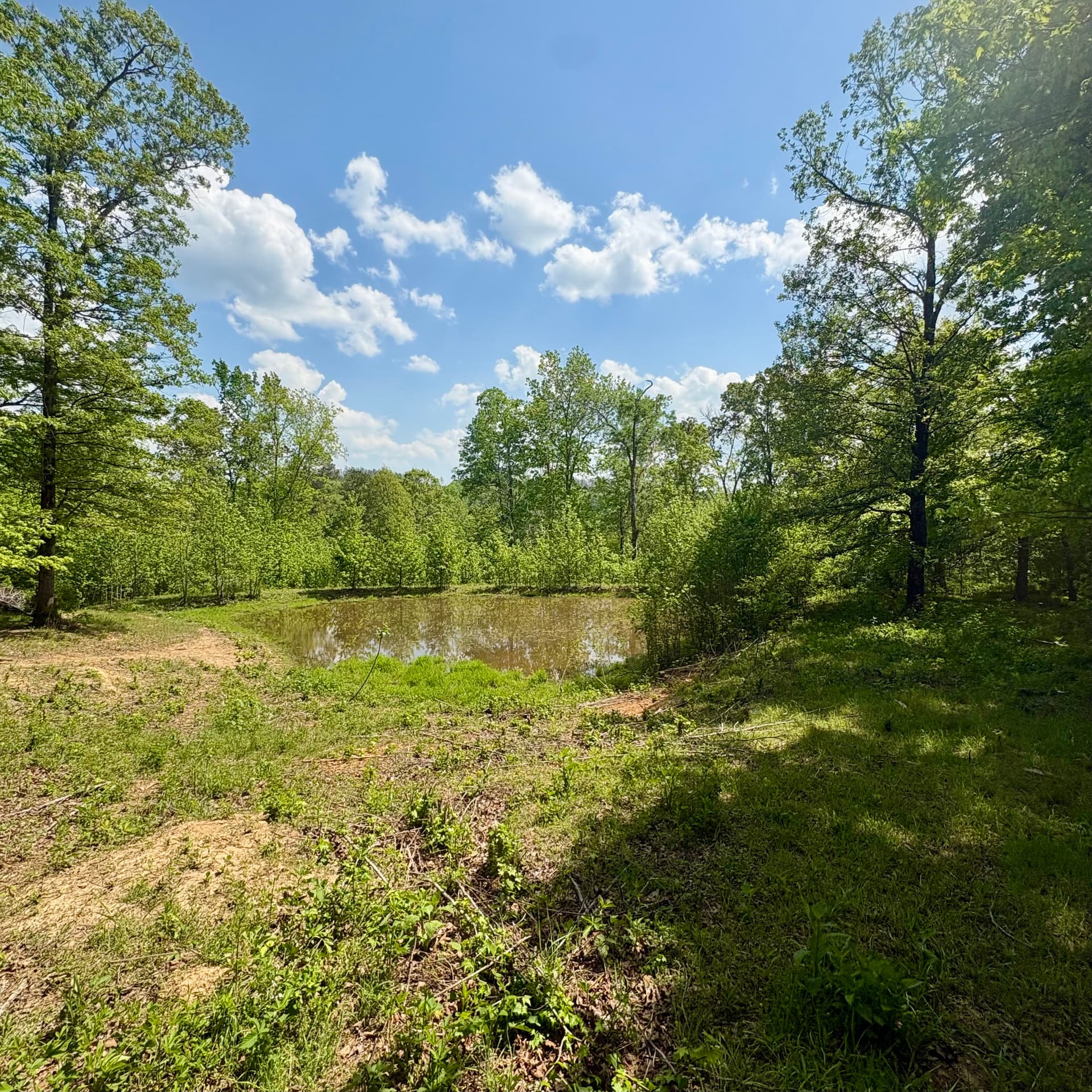 Gallery photos for Farm Land Clearing for Pond Banks Fields and Fence Rows: Image #1