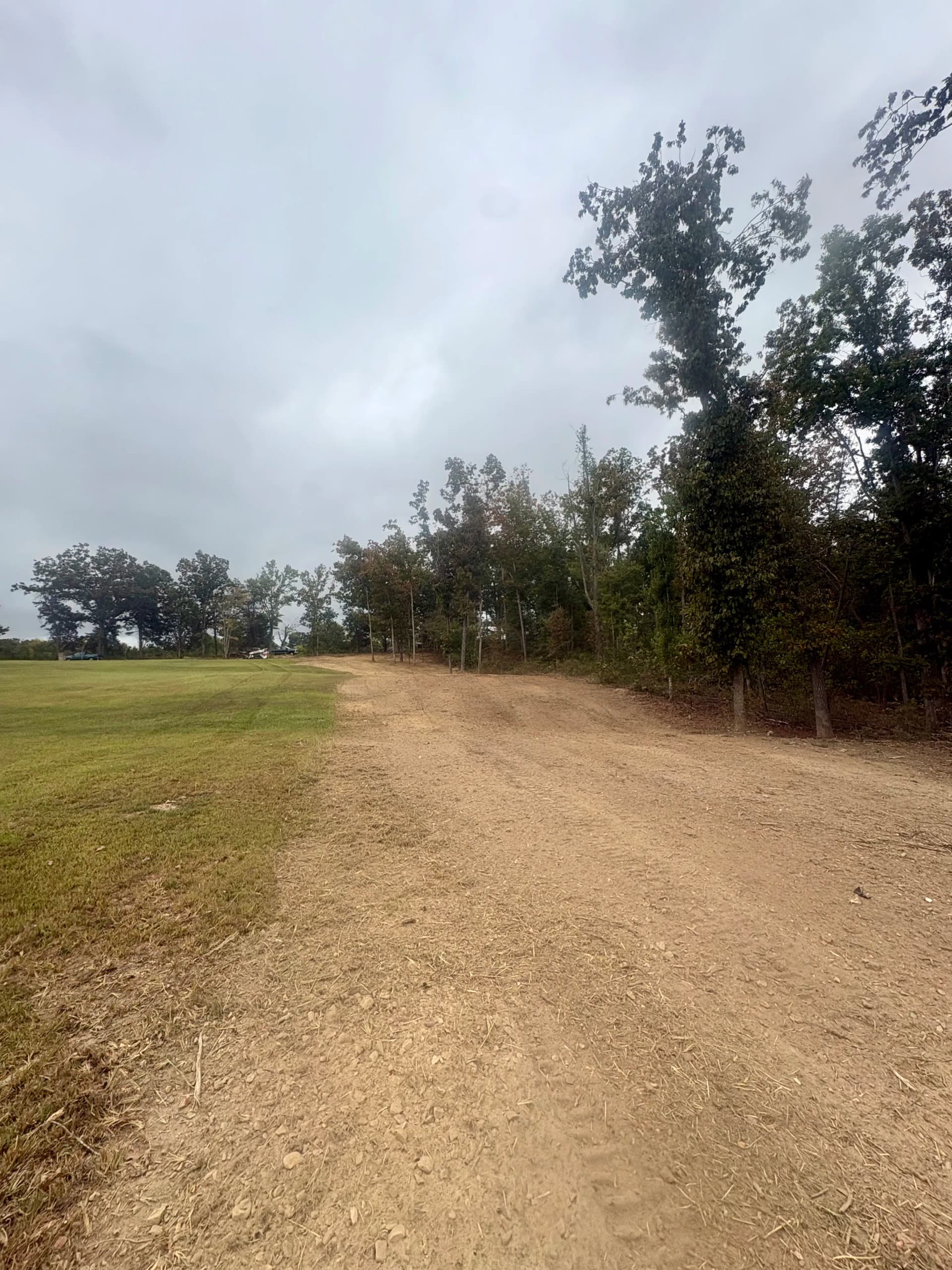 Land Clearing Along a Overgrown Property Edge Opens Up Real Usable Space image