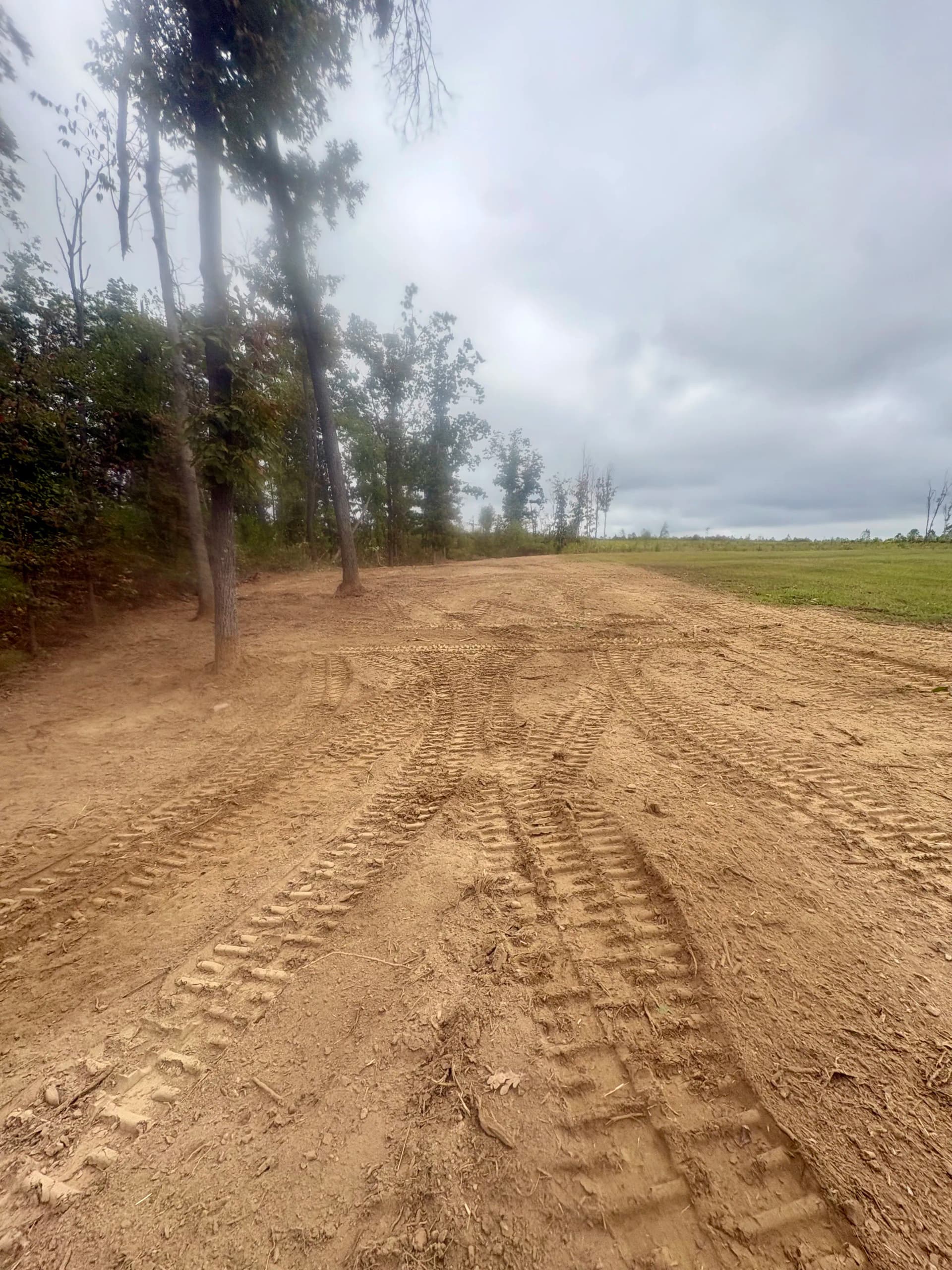 Gallery photos for Land Clearing Along a Overgrown Property Edge Opens Up Real Usable Space: Image #2