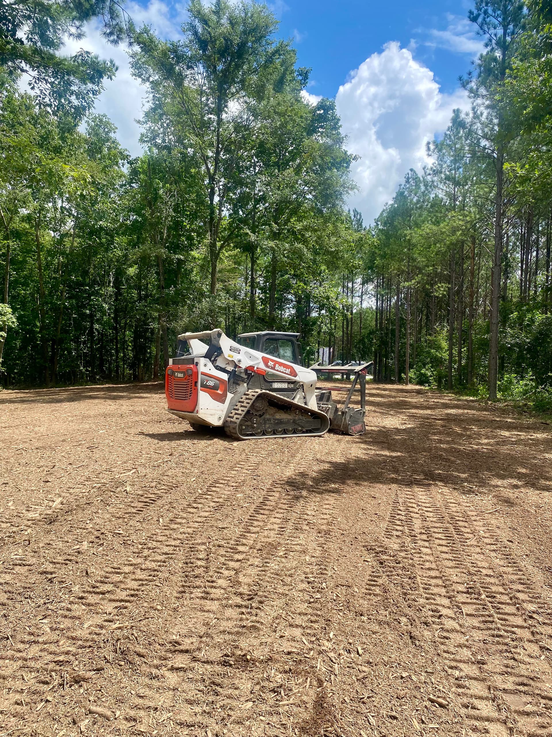 Gallery photos for Forestry Mulching That Turns Overgrown Land Into Usable Space: Image #1