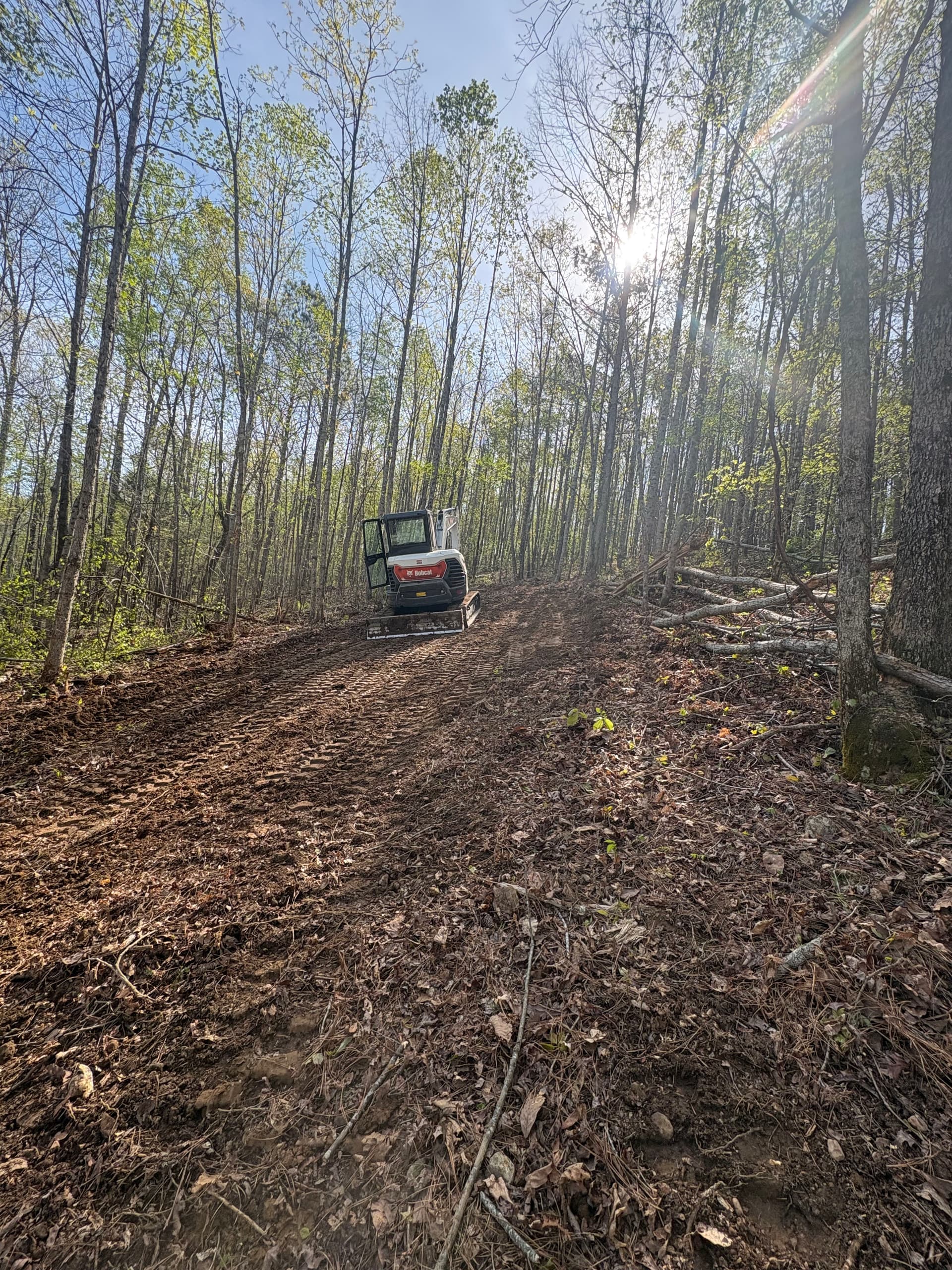 Cutting a Clean Path Through Dense Wooded Land image