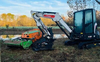 The True Cost of DIY Land Clearing vs. Professional Services